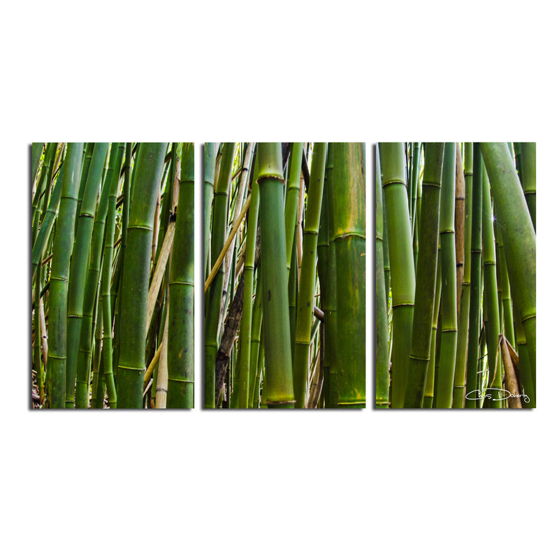 'Maui Palms II' 3-Piece Wrapped Canvas Wall Art Set