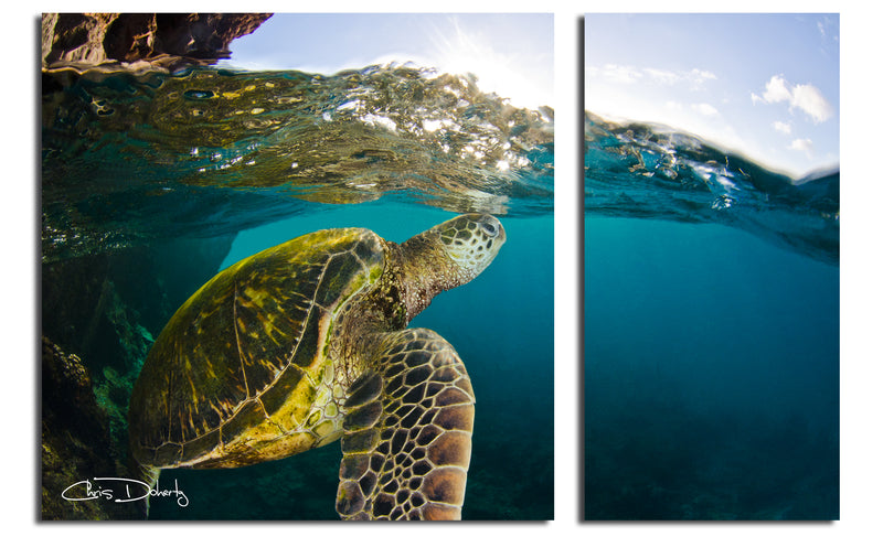 'Maui Turtle Drifts' 2-Piece Wrapped Canvas Wall Art Set