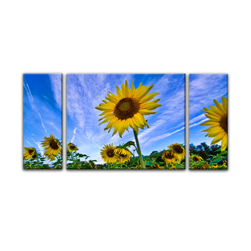'Queen of the Field' 3-Piece Wrapped Canvas Wall Art Set