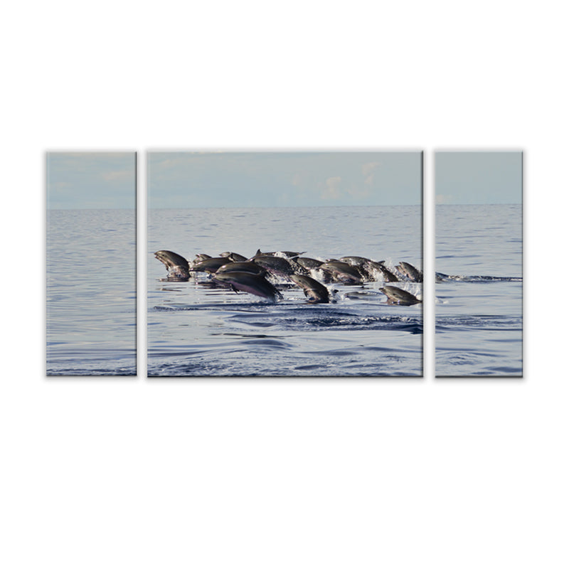 'Free at Sea' 3-Piece Wrapped Canvas Wall Art Set