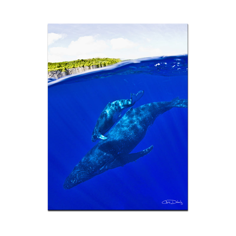 'Whales' Wrapped Canvas Wall Art - Ready2HangArt