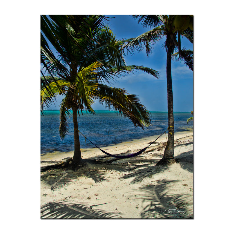 'Maya Hammock' Wrapped Canvas Wall Art - Ready2HangArt