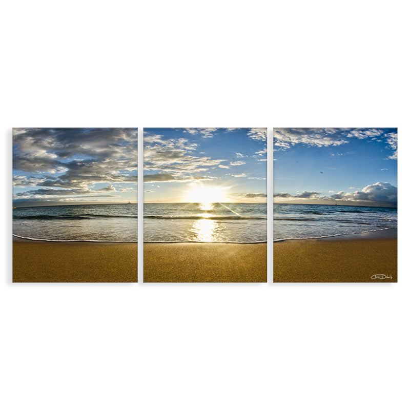 'Maui' 3-Piece Wrapped Canvas Wall Art Set