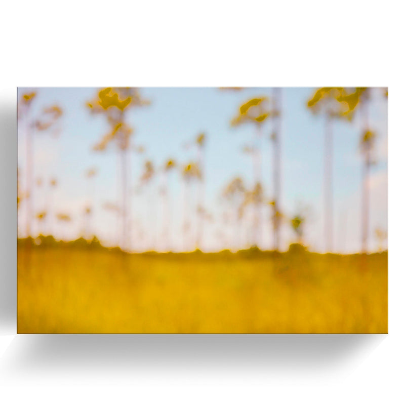 One of a Kind Original 'Everglades Trees' by Cheryl Maeder