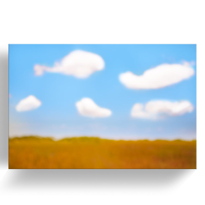 One of a Kind Original 'Everglades Sky' by Cheryl Maeder