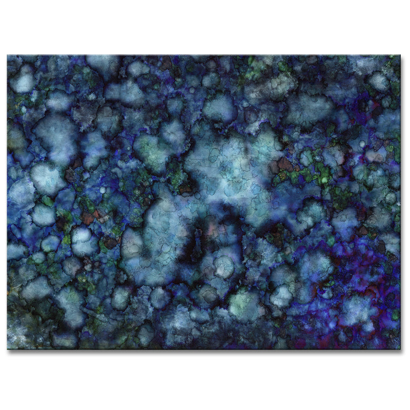 Hidden Galaxy' Wrapped Canvas Wall Art