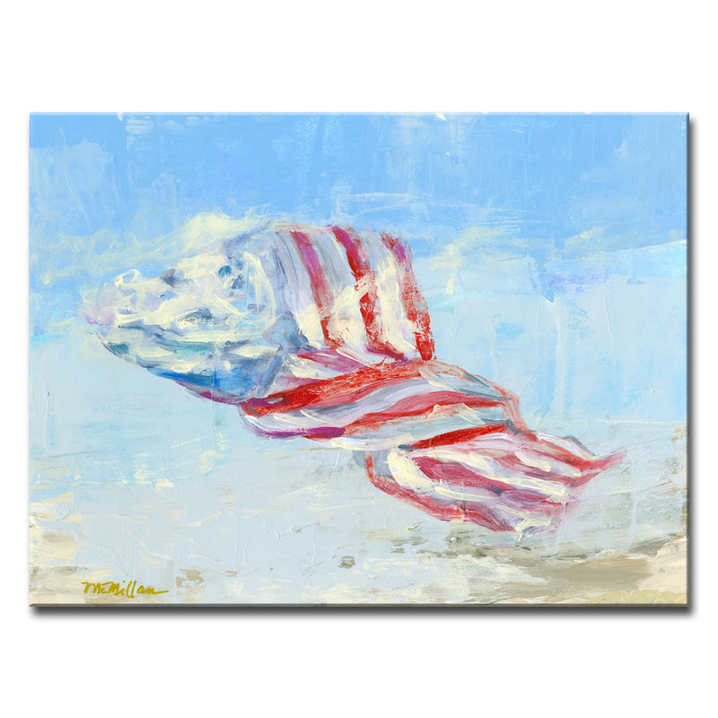 'Wind Blown Flag' Wrapped Canvas Wall Art