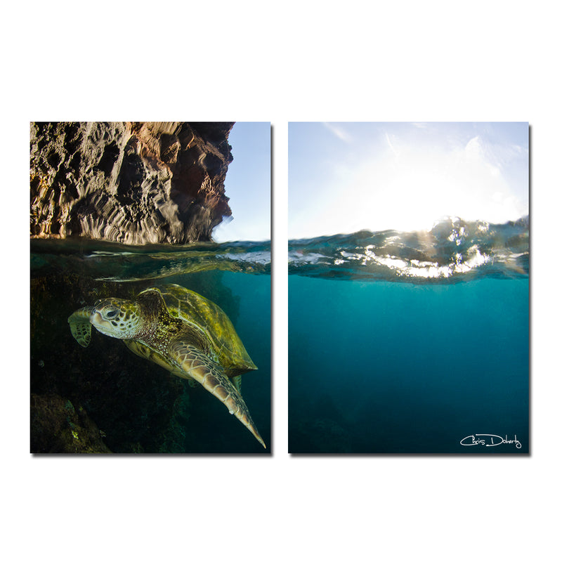 'Sea Turtle' 2-Piece Wrapped Canvas Wall Art Set
