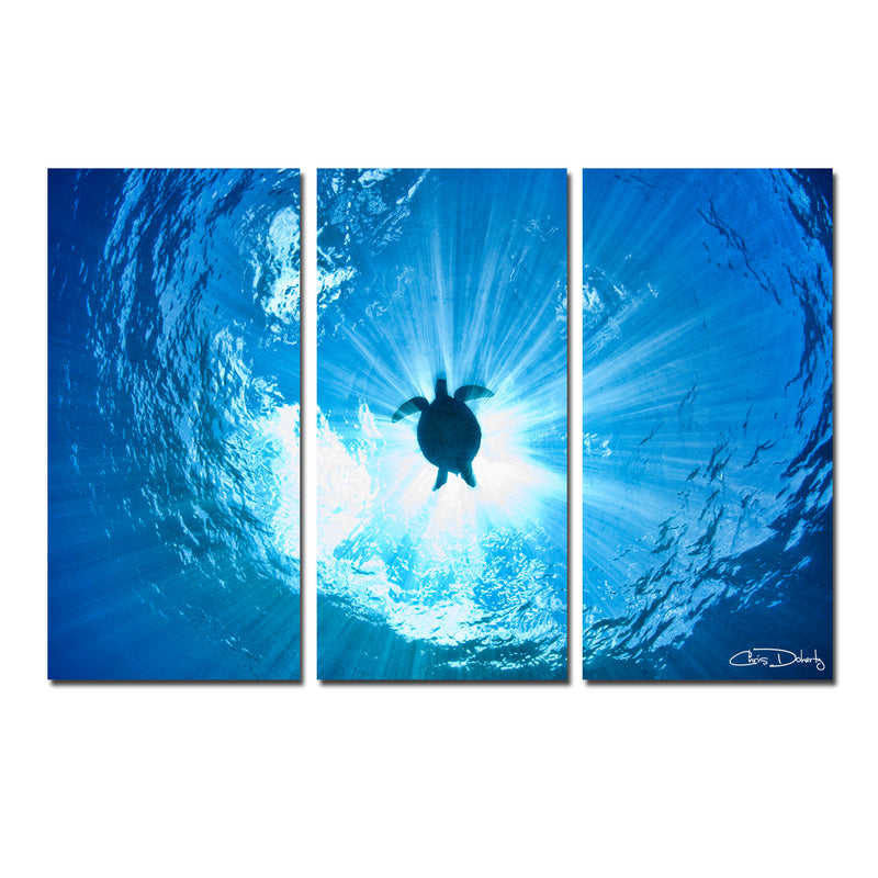 'Sea Turtle' 3-Piece Wrapped Canvas Wall Art Set - Ready2HangArt