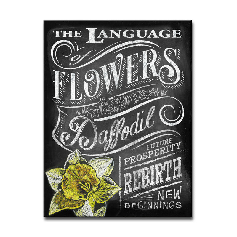 LOF - Daffodil' Wrapped Canvas Wall Art