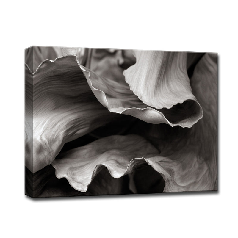 Banana Plant' Wrapped Canvas Wall Art