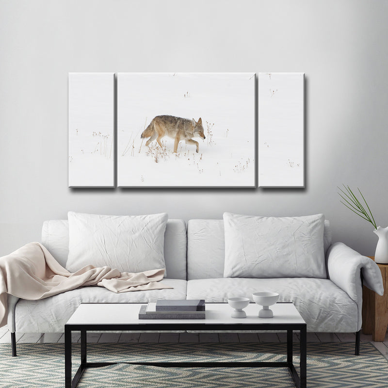 Coyote Snow' Wrapped Canvas Wall Art Set