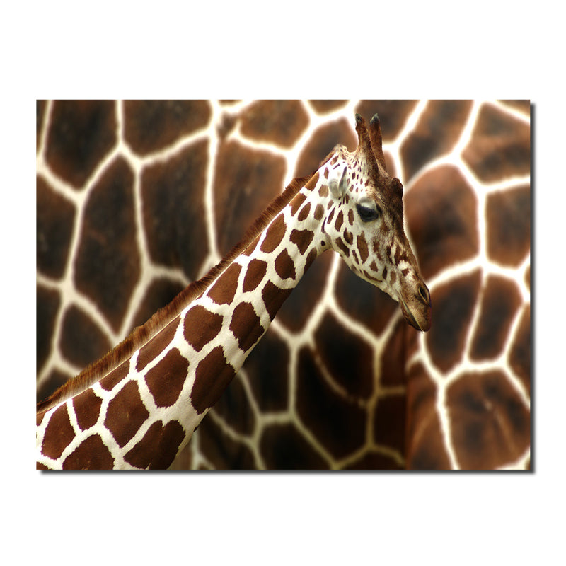 Indoor/Outdoor Wall Art 'Giraffe' in ArtPlexi