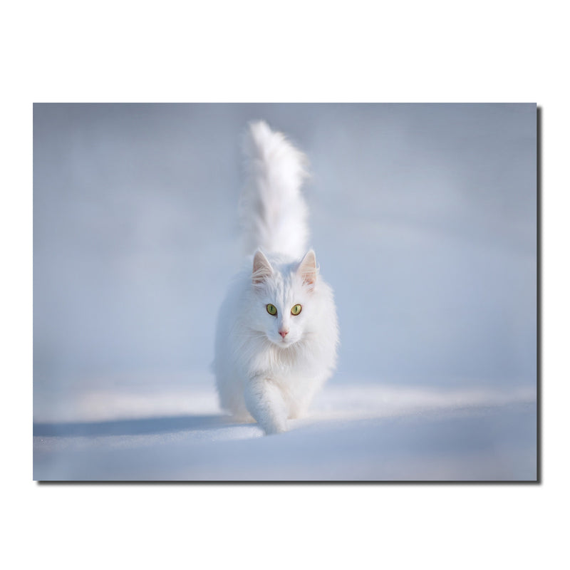 Indoor/Outdoor Wall Art 'Yellow Eyes' in ArtPlexi