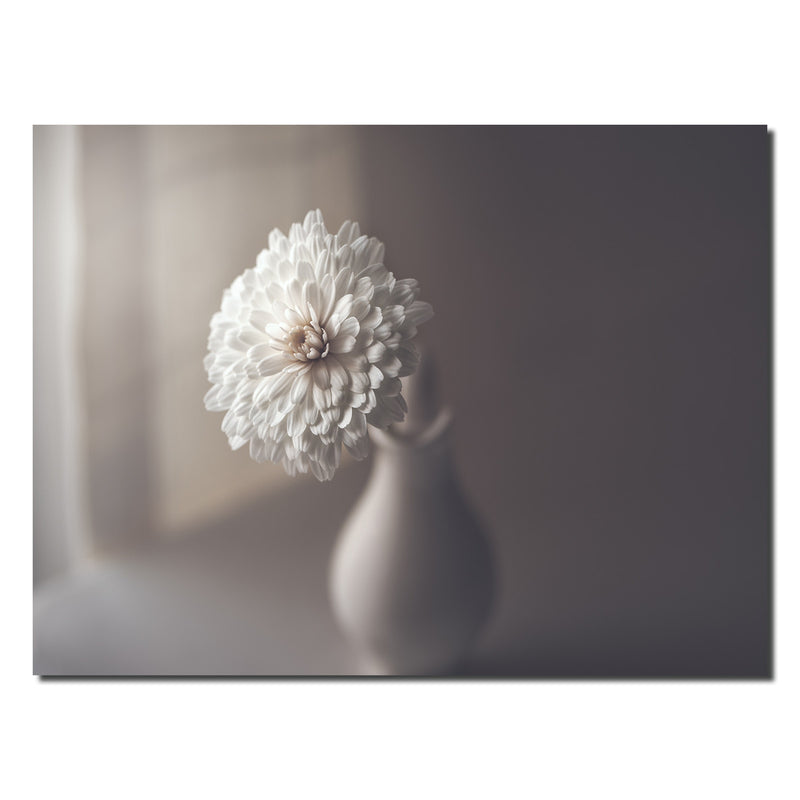 Indoor/Outdoor Wall Art 'Window Light' in ArtPlexi