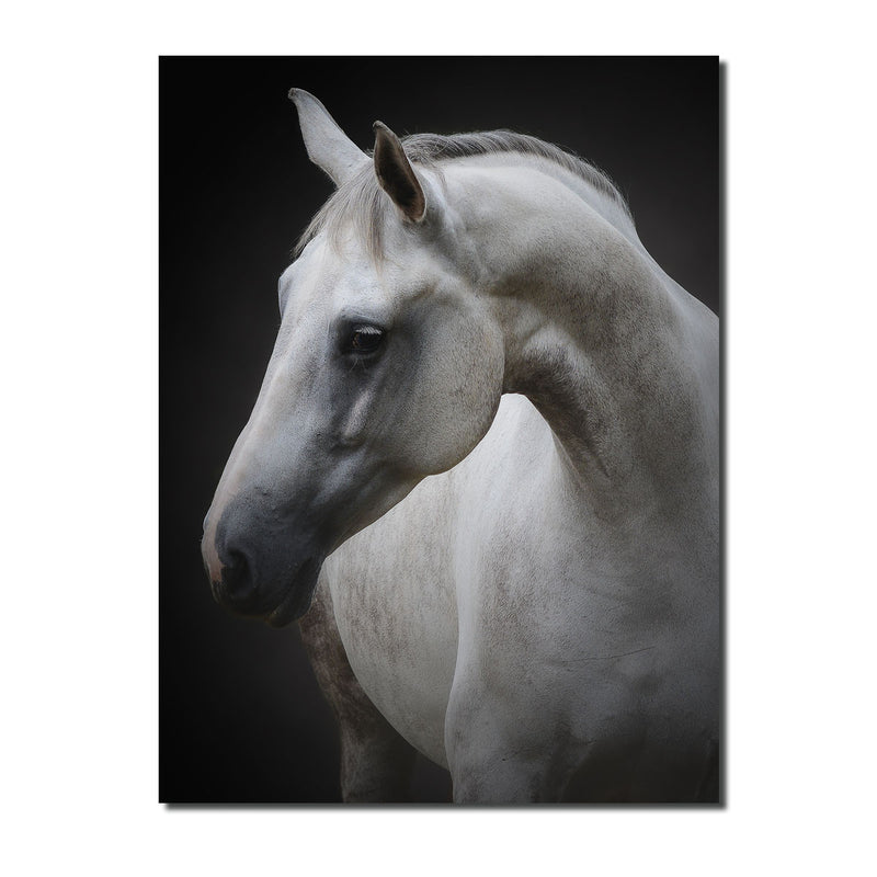 Indoor/Outdoor Wall Art 'Maggie' in ArtPlexi