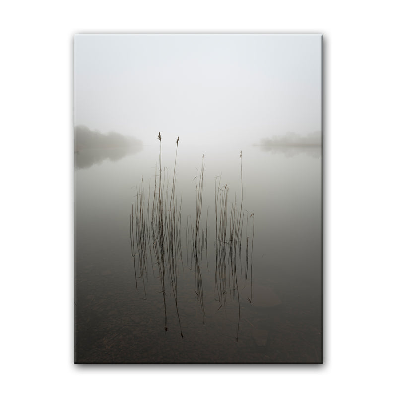 Reeds in the Mist' Wrapped Canvas Wall Art