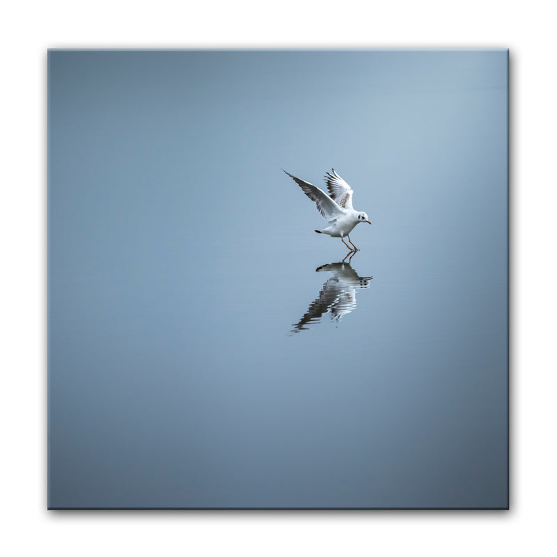 Touchdown' Wrapped Canvas Wall Art