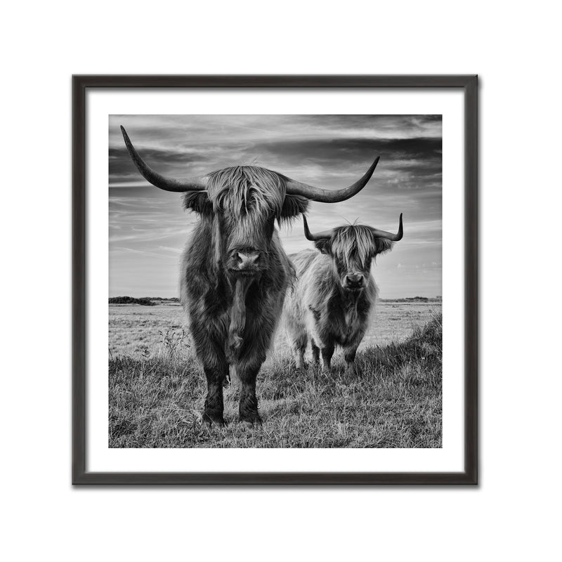 "Highlands" Framed Print Wall Art