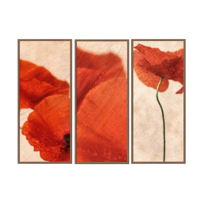 "Three Red" Framed 3-Piece Wall Art Set