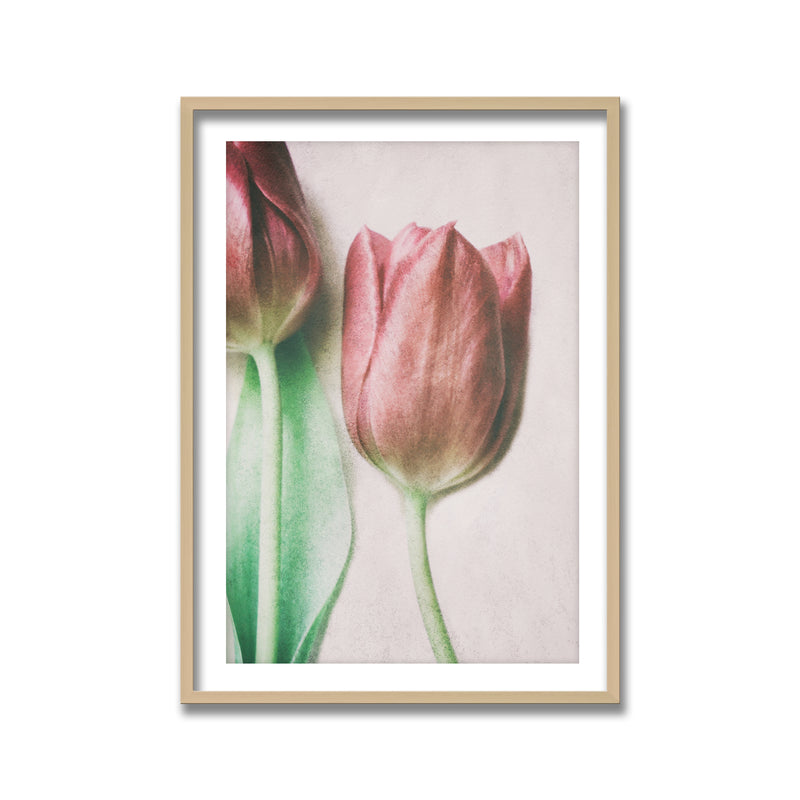 "The Spring Lovers" Framed Print Wall Art