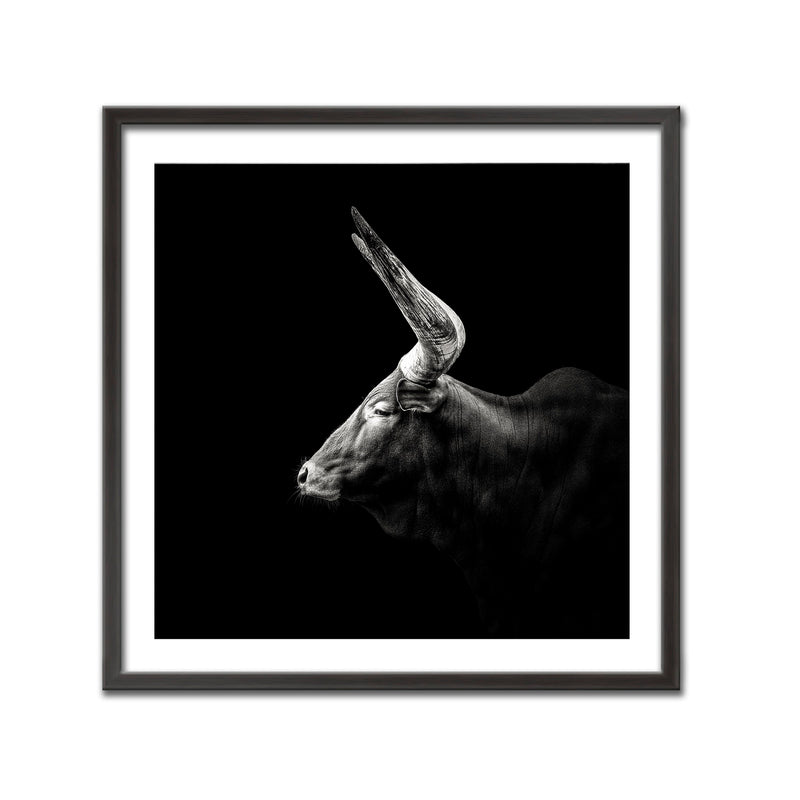 "Watusi" Framed Print Wall Art