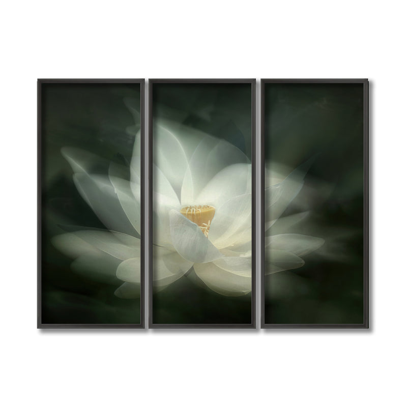 "Swaying" Framed 3-Piece Wall Art Set