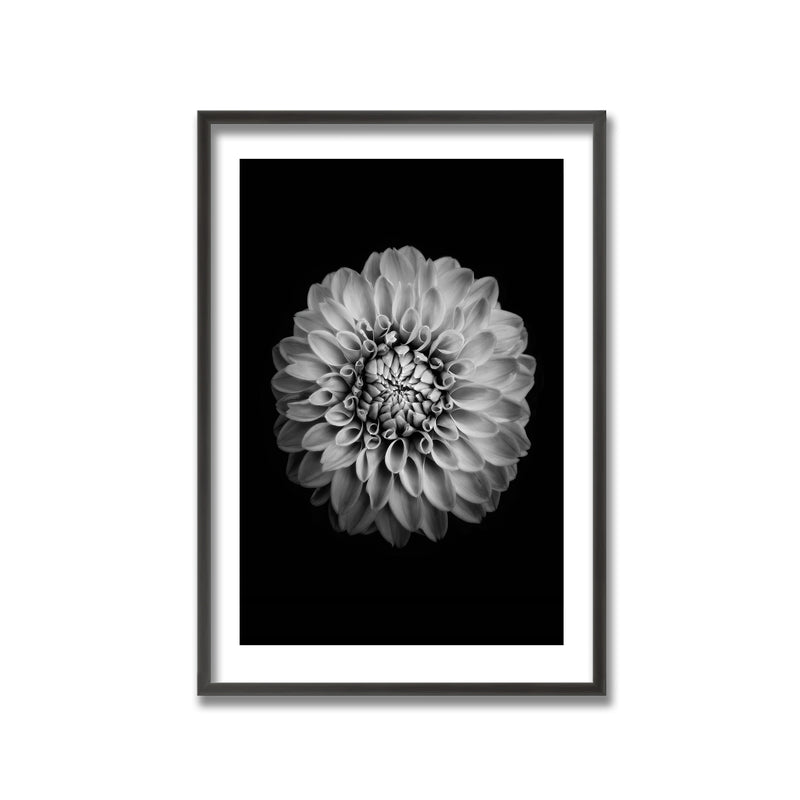 "Marigold" Framed Print Wall Art