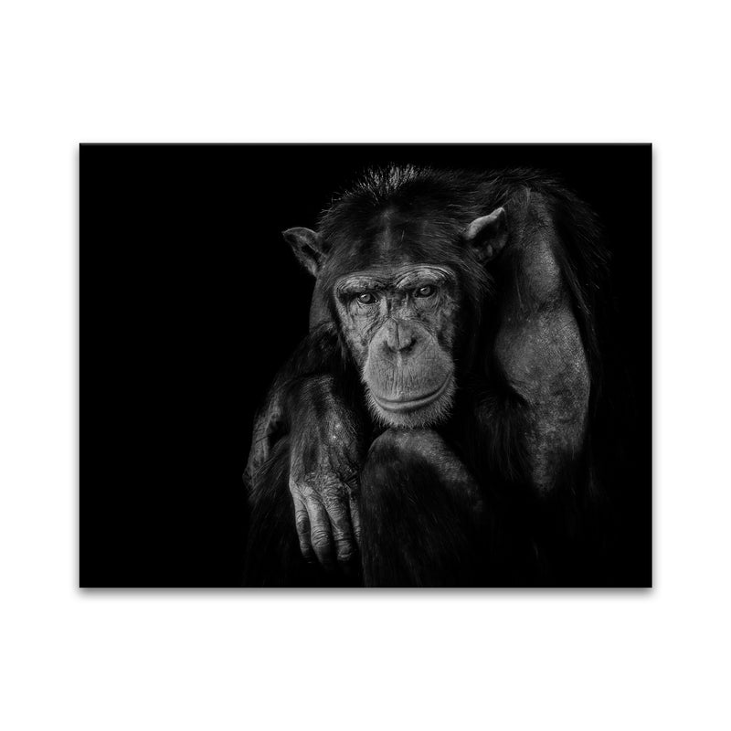 'Youth Don't Last Forever' Wall Art