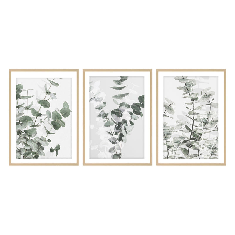 "Eucalyptus" Framed 3-Piece Wall Art Set
