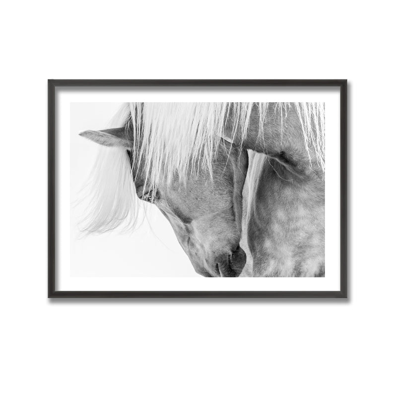"Halflinger Portrait" Framed Print Wall Art