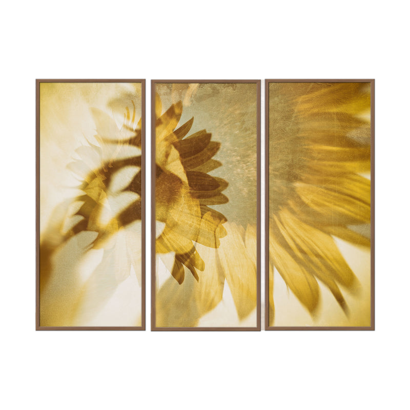 "Just like the Sun" Framed 3-Piece Wall Art Set