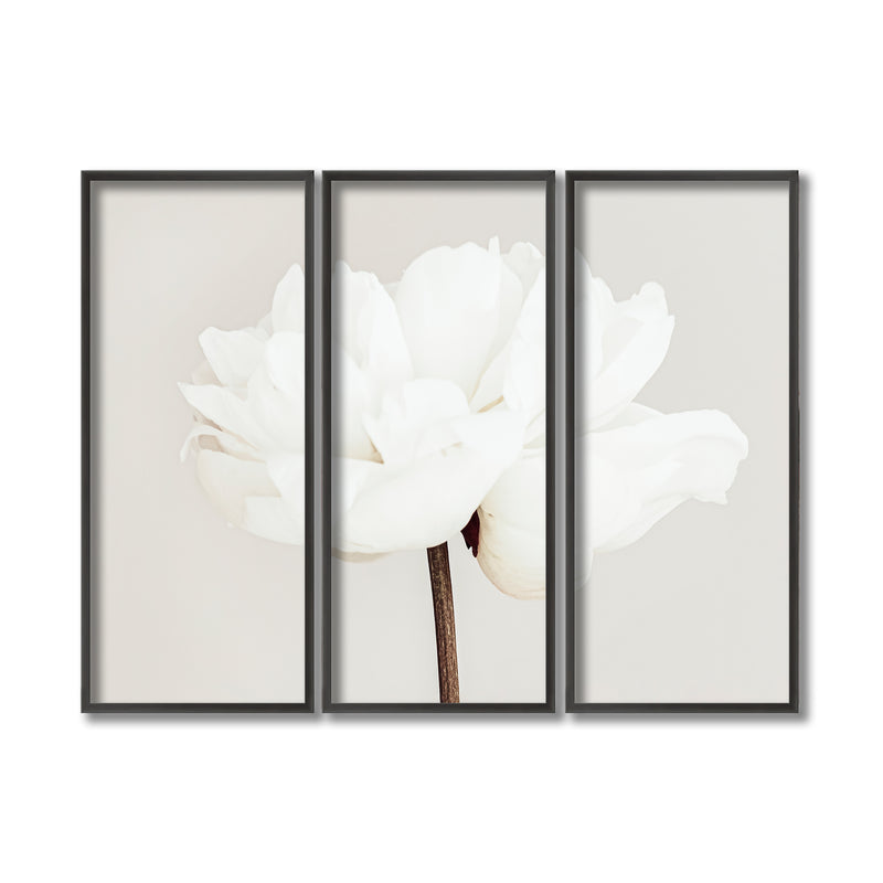 "Peony 11" Framed 3-Piece Wall Art Set