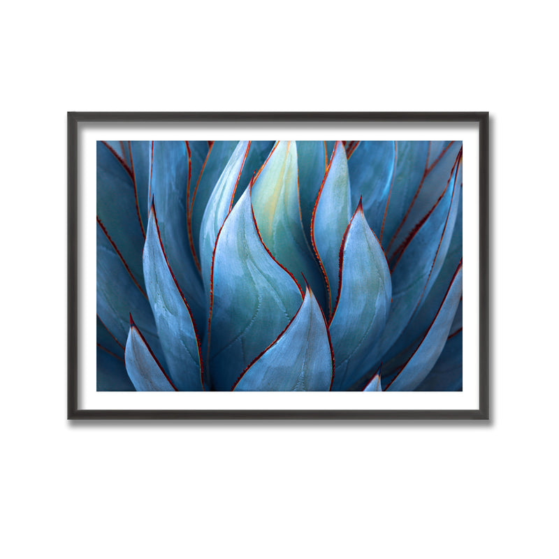 "Blue Agave Abstract" Framed Print Wall Art