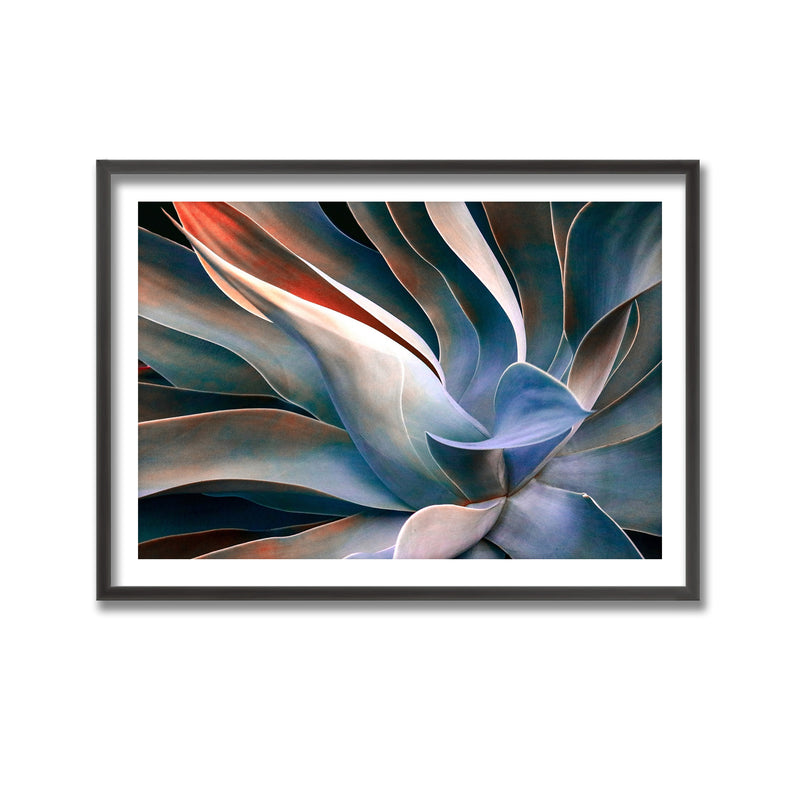"The Colors in Leaves" Framed Print Wall Art