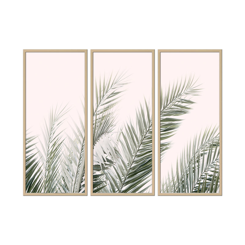 "Blush Palm Leaves" Framed 3-Piece Wall Art Set