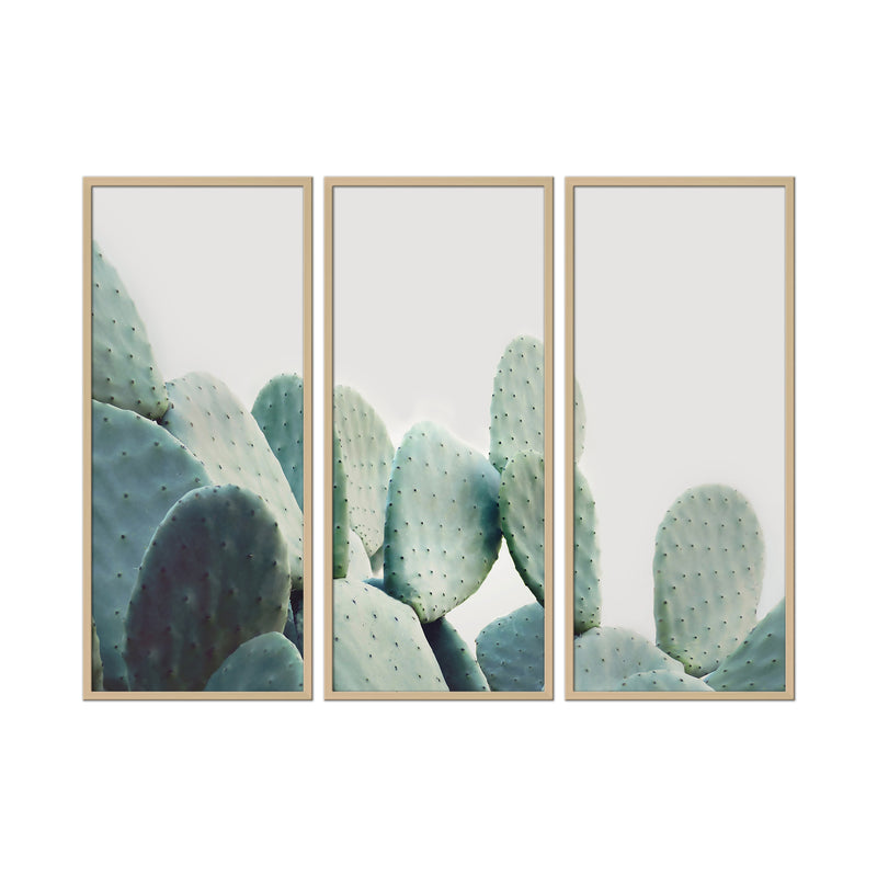 "Pastel Cactus" Framed 3-Piece Wall Art Set