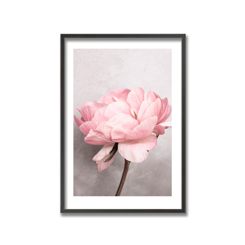 "Peony" Framed Print Wall Art