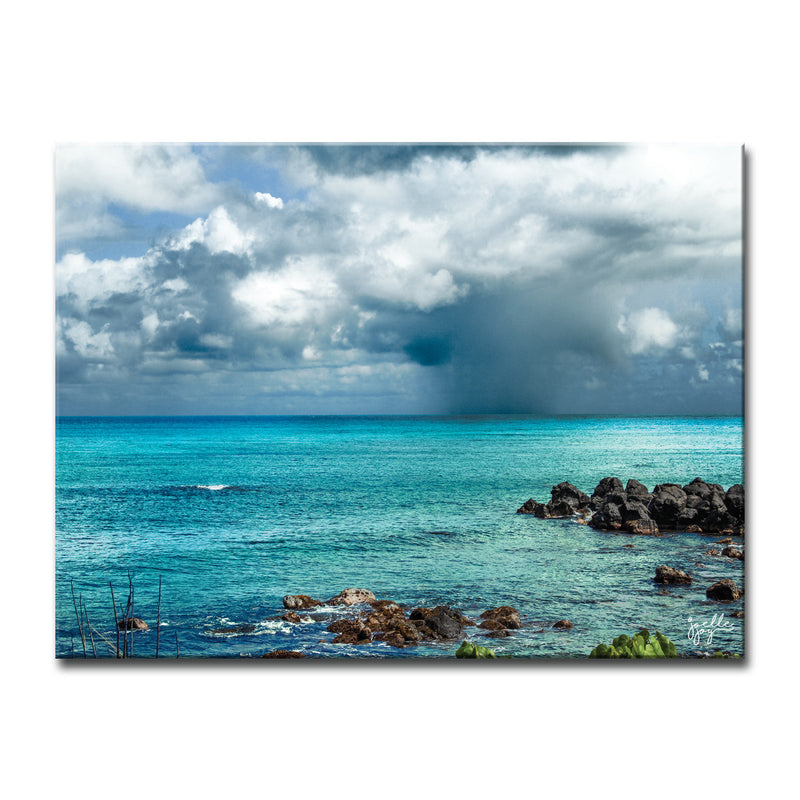 Dark Paradise' Wrapped Canvas Wall Art