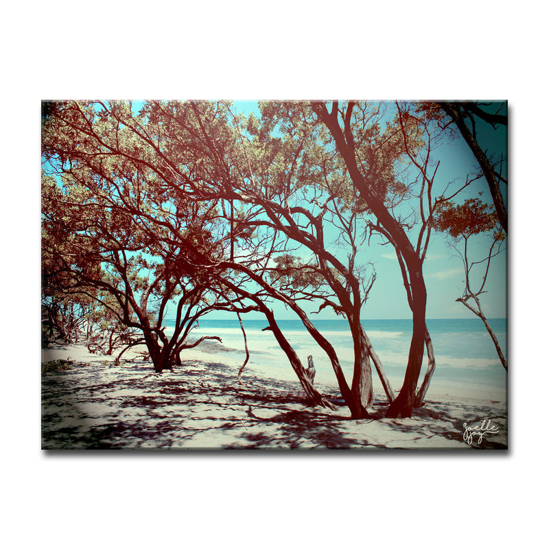 Default' Wrapped Canvas Wall Art
