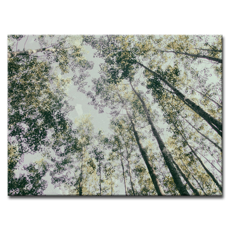 Shaking Your Tree' Wrapped Canvas Wall Art