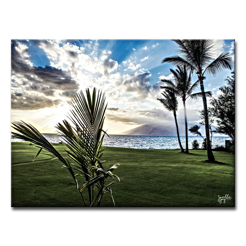 Waui Maui' Wrapped Canvas Wall Art