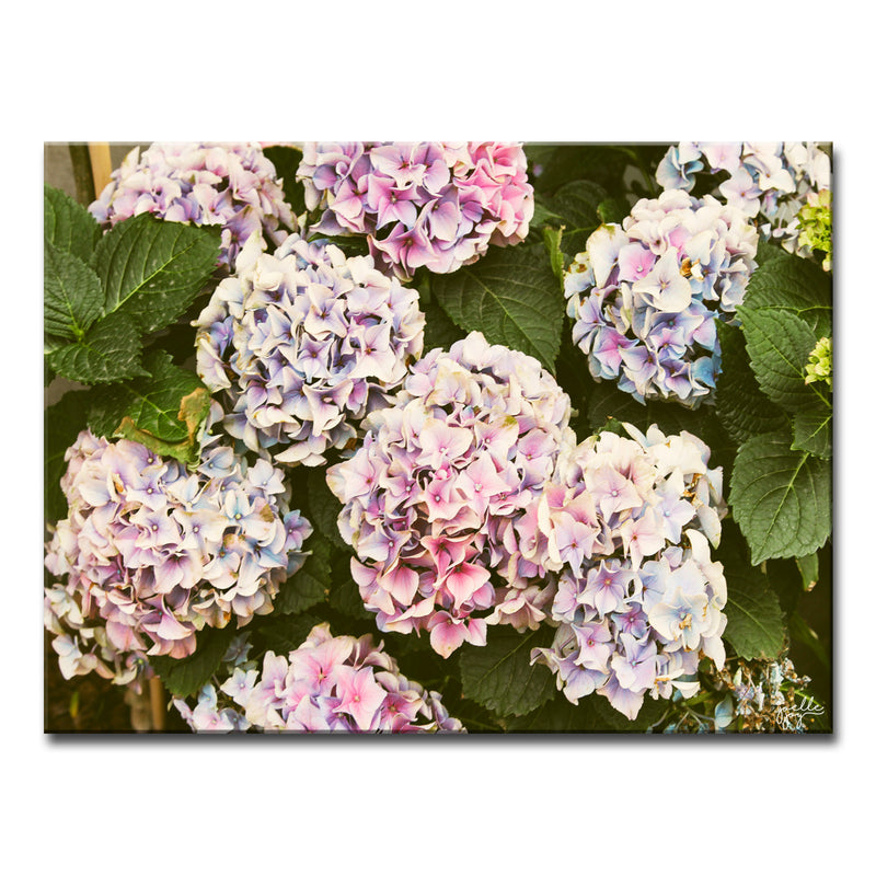 Where I Stood' Wrapped Canvas Wall Art