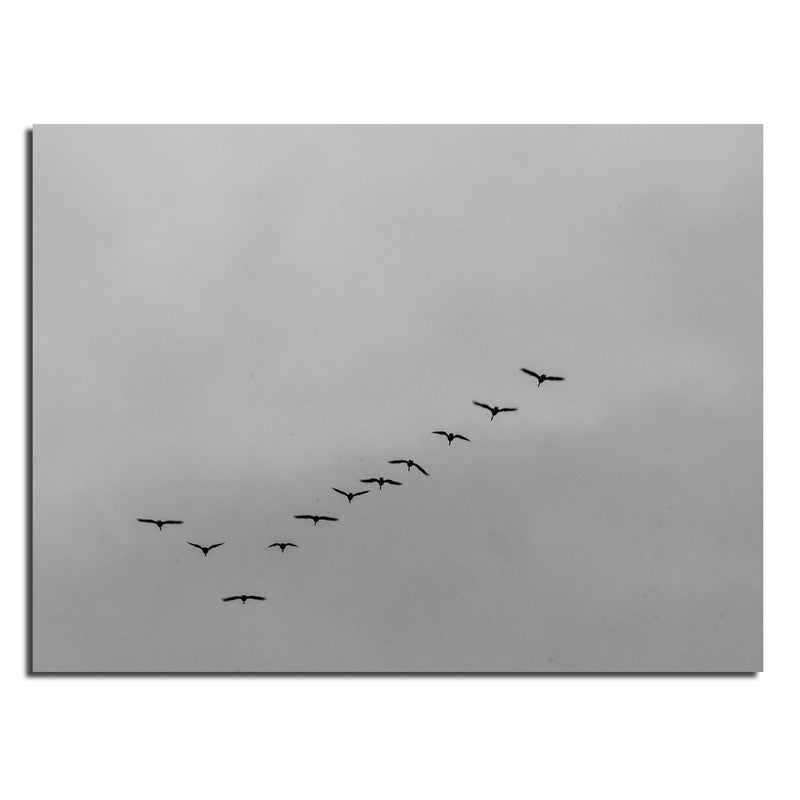 Ready2HangArt Indoor/Outdoor Wall Décor 'Formation' in ArtPlexi by NXN Designs