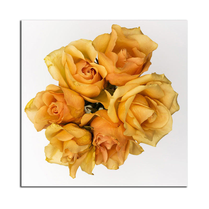 Ready2HangArt Indoor/Outdoor Wall Décor 'Just Because' in ArtPlexi by NXN Designs