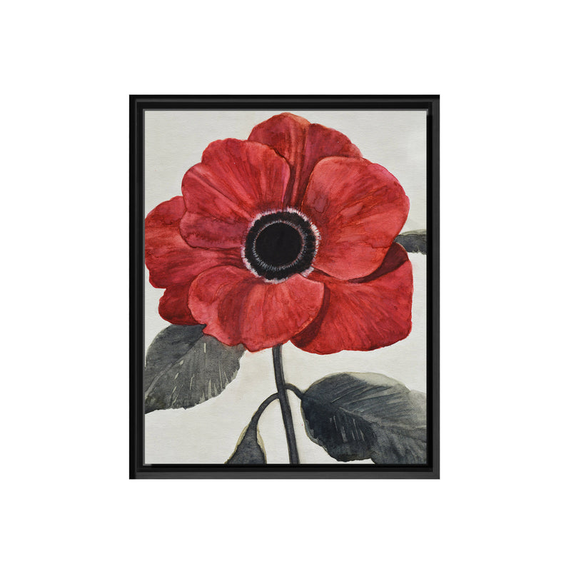 Graceful Poppy I Framed Canvas Wall Art