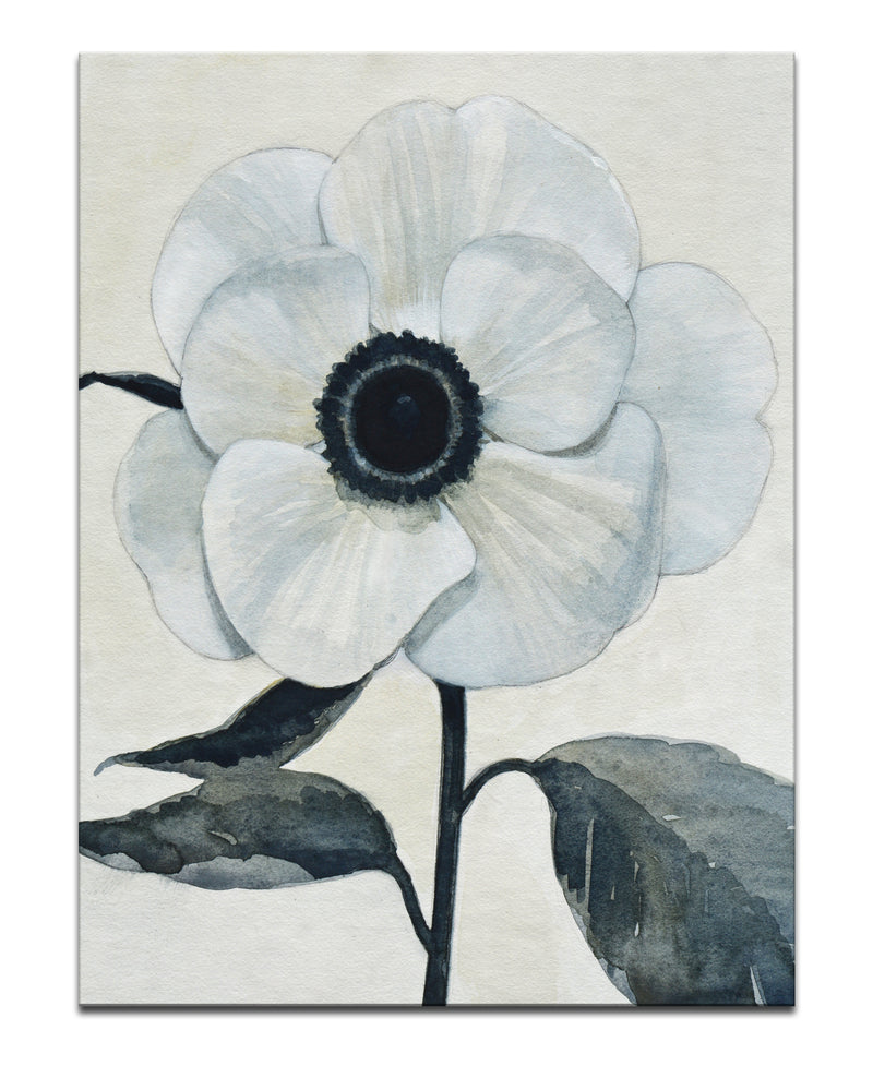 'Graceful Poppy II' Wrapped Canvas Wall Art