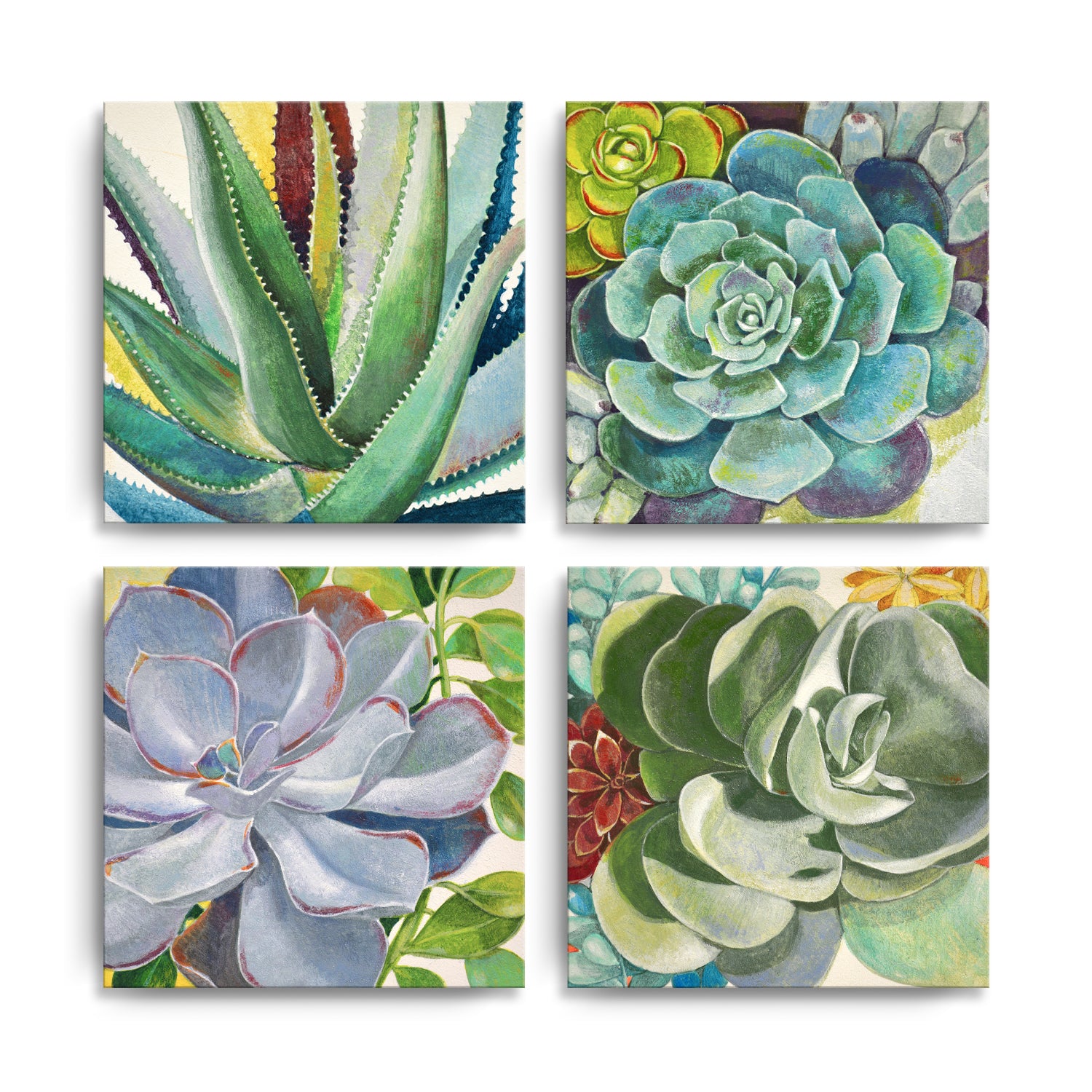 succulent canvas Succulents I-IV' 4 Piece Wrapped Canvas Wall Art Set by Norman Wyatt Jr. – Ready2HangArt