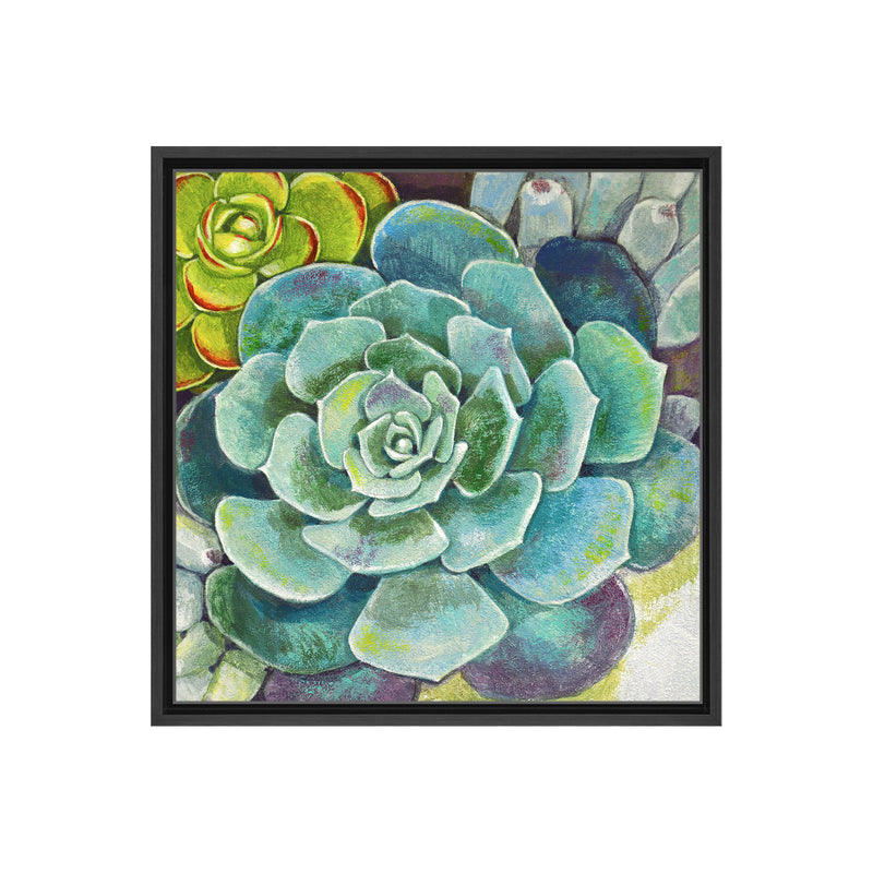 Brilliant Succulents II Framed Canvas Wall Art