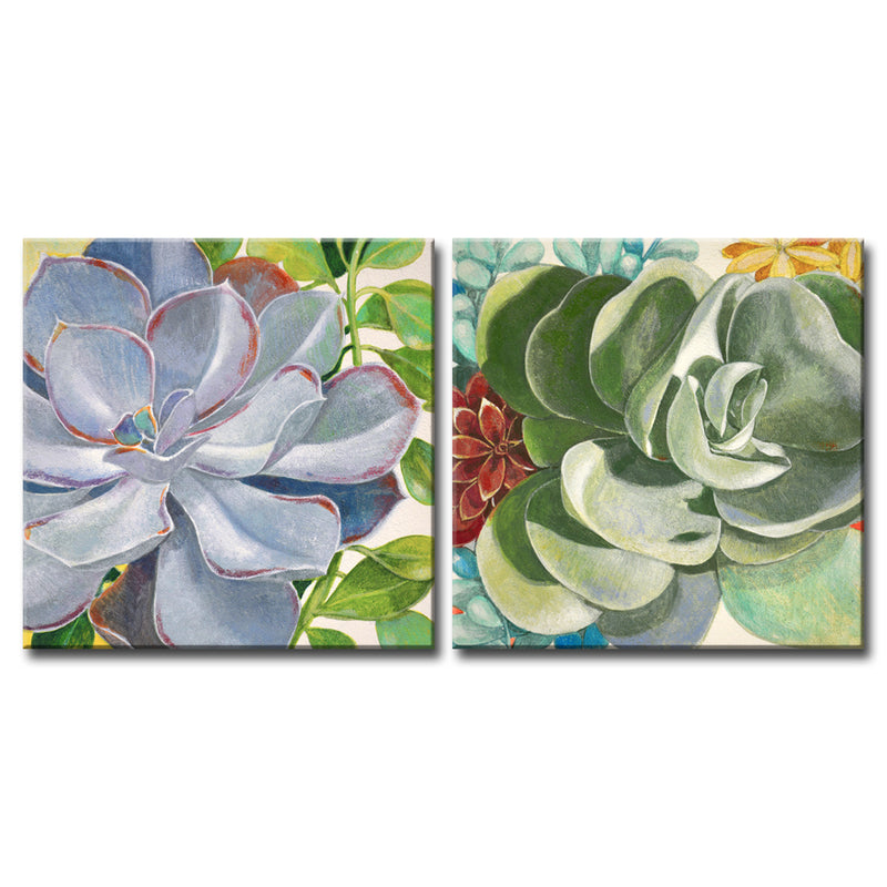 'Brilliant Succulents III/IV' Wrapped Canvas Wall Art Set
